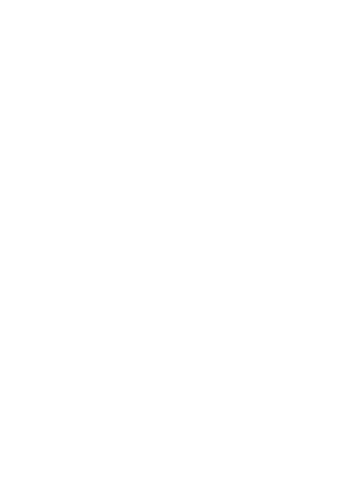 Décoration Flocon